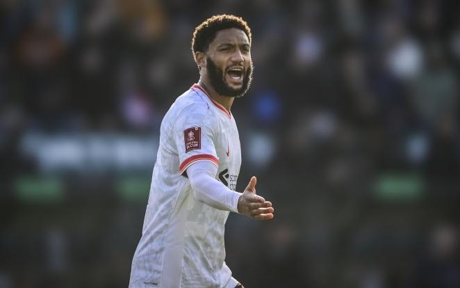 精准战术布 精准战术布